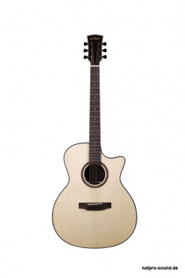 Akustische_Gitarre_D-Series_DL-260_SC_NM_1