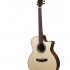 Akustische_Gitarre_D-Series_DL-260_SC_NM_4