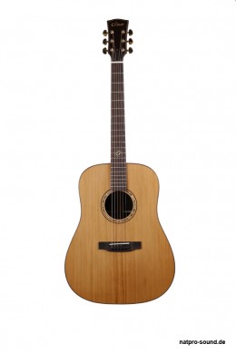 Akustische_Gitarre_Westerngitarre__Dove_O-Serie_DR-55_1