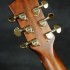 Akustische_Gitarre_Westerngitarre__Dove_O-Serie_DR-55_6