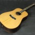 Akustische_Gitarre_Westerngitarre__Dove_O-Serie_DR-55_8