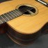 Akustische_Gitarre_Westerngitarre__Dove_O-Serie_DR-55_9