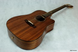 Akustische_Gitarre_Westerngitarre__Dove_O-Serie_DS-51C_5