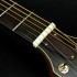 Akustische_Gitarre_Westerngitarre__Dove_O-Serie_DS-52C_8